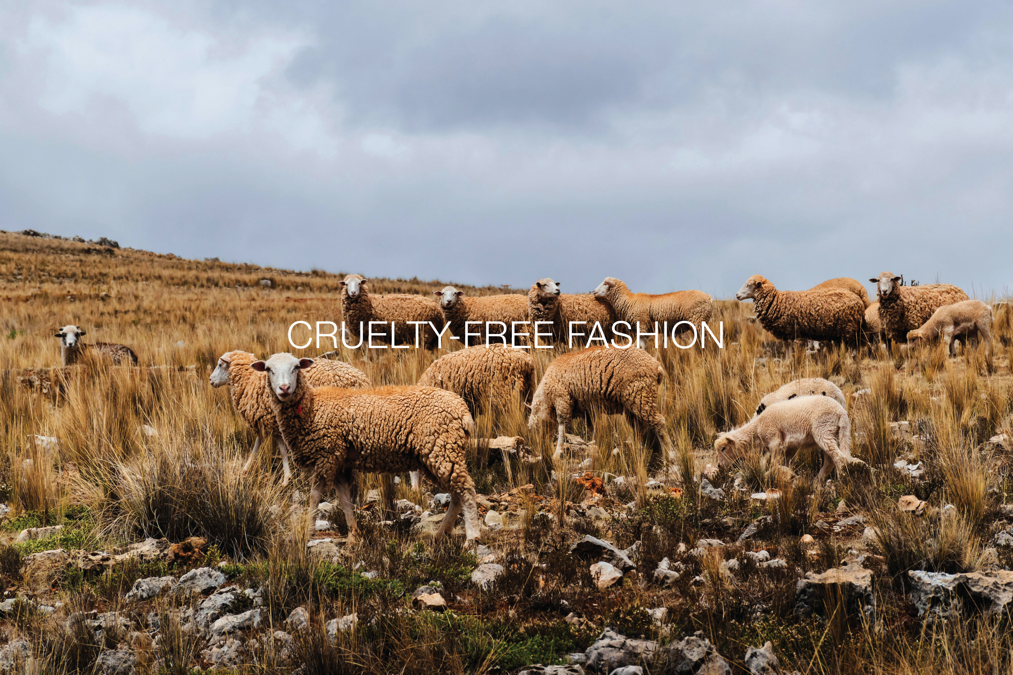 Cruelty-Free Fashion