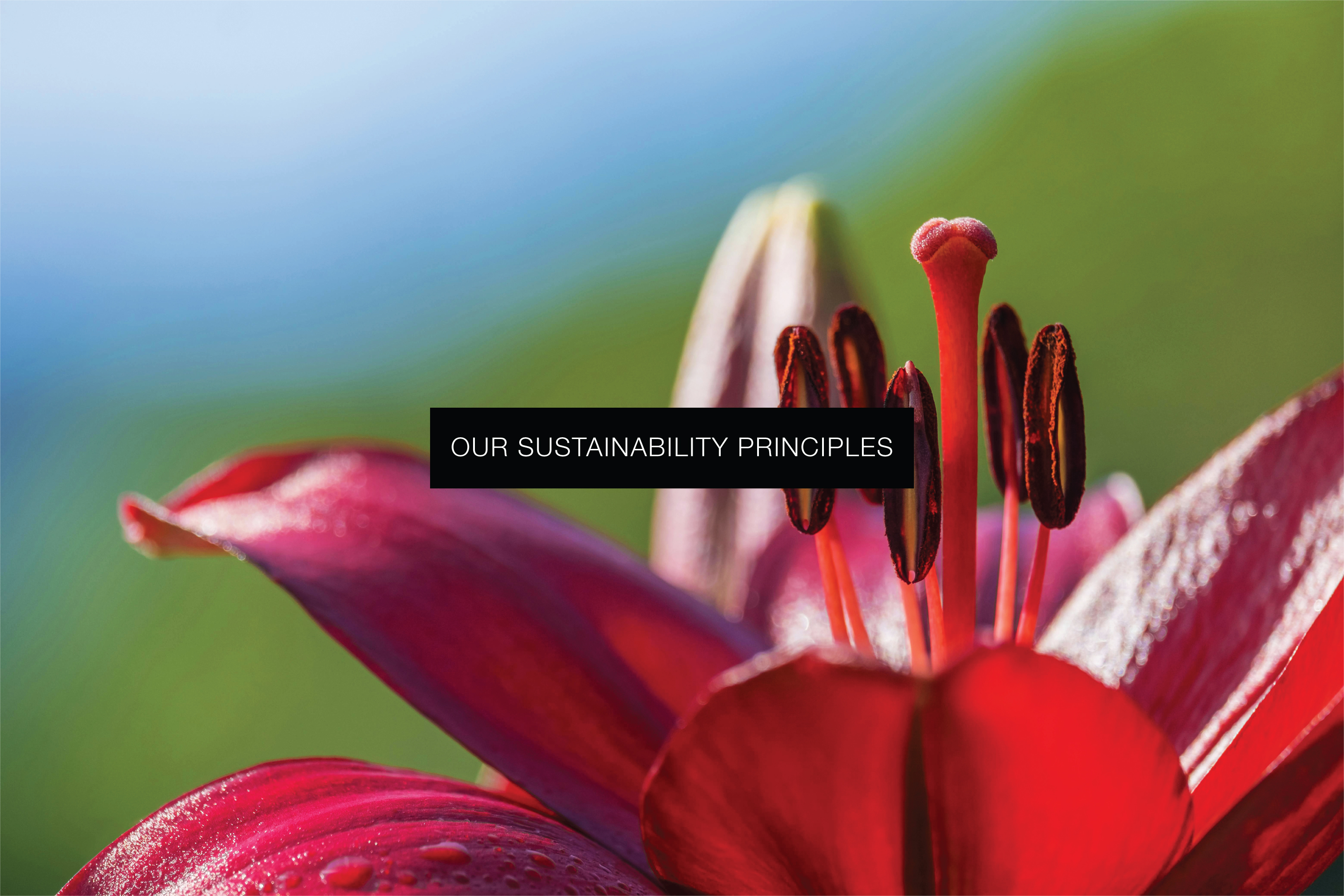 Royal Garden Sustainability Principles